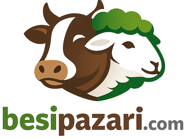 BesiPazarı